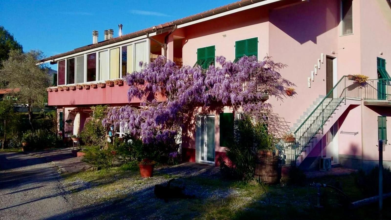 La Casa Rosa Hotel Borghetto di Vara Exterior photo